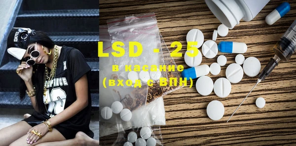 PSILOCYBIN Алзамай