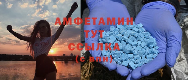 PSILOCYBIN Алзамай