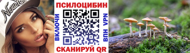 купить наркотики сайты  Лихославль  Галлюциногенные грибы MAGIC MUSHROOMS 